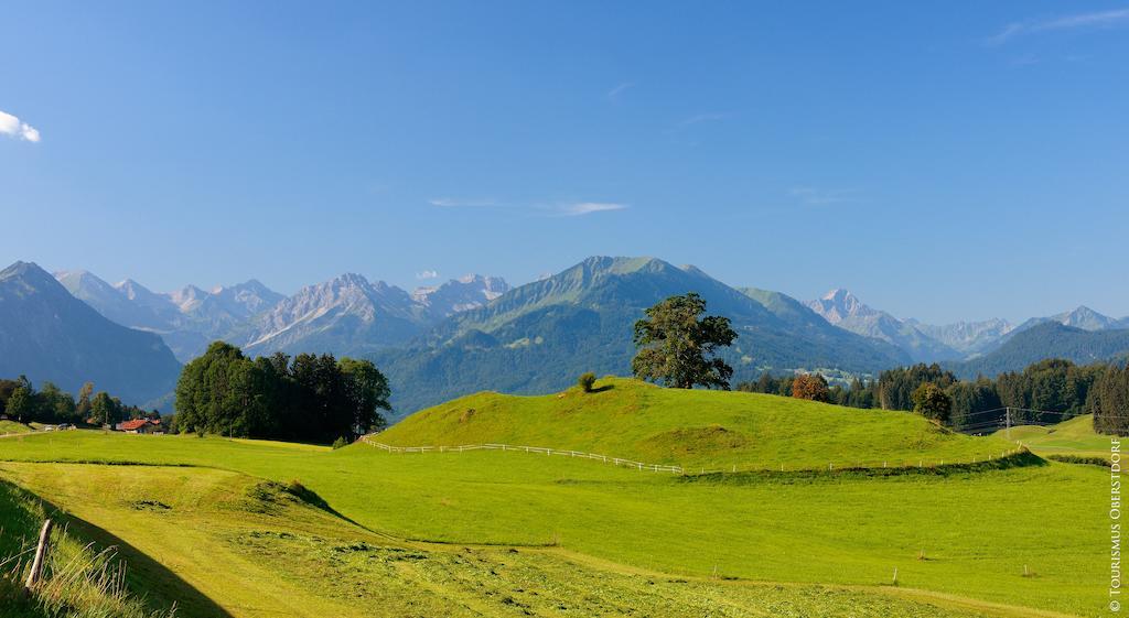 Hornblick Fewo- Ab Mai Freie Fahrt Mit Bergbahnen Оберстдорф Экстерьер фото